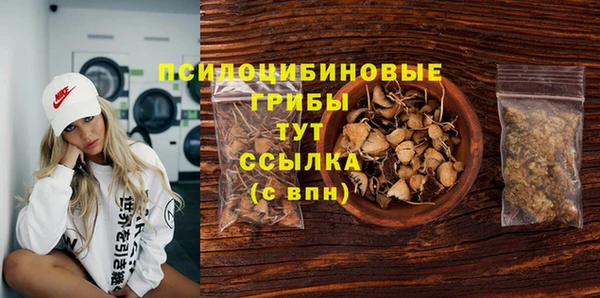 крисы Болхов
