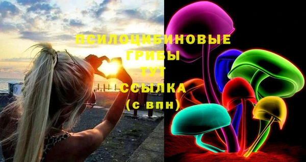 а пвп мука Нея
